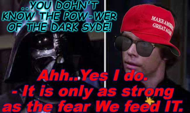 Darth Vader and MAGA Luke | ..YOU DOHN'T KNOW THE POW-WER OF THE DARK SYDE! Ahh..Yes I do. 
- It is only as strong as the fear We feed IT. | image tagged in darth vader,luke skywalker,you don't know the power of the dark side,the dark side,dark to light | made w/ Imgflip meme maker