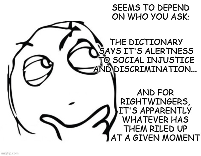 hmmm | THE DICTIONARY SAYS IT'S ALERTNESS TO SOCIAL INJUSTICE AND DISCRIMINATION... AND FOR RIGHTWINGERS, IT'S APPARENTLY WHATEVER HAS THEM RILED U | image tagged in hmmm | made w/ Imgflip meme maker
