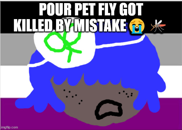 sad news | POUR PET FLY GOT KILLED BY MISTAKE😭🦟 | image tagged in fly rip,very sad | made w/ Imgflip meme maker