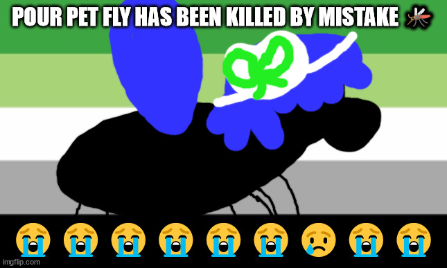 Toe bu is fly in Japanese not sure if it's the bug or the action | POUR PET FLY HAS BEEN KILLED BY MISTAKE 🦟; 😭😭😭😭😭😭😢😭😭 | image tagged in pour pet fly rip,rip | made w/ Imgflip meme maker