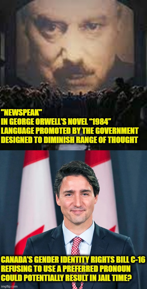 Thought Police | "NEWSPEAK" 
IN GEORGE ORWELL’S NOVEL “1984” 
LANGUAGE PROMOTED BY THE GOVERNMENT 
DESIGNED TO DIMINISH RANGE OF THOUGHT; CANADA’S GENDER IDENTITY RIGHTS BILL C-16
REFUSING TO USE A PREFERRED PRONOUN 
COULD POTENTIALLY RESULT IN JAIL TIME? | image tagged in 1984 | made w/ Imgflip meme maker