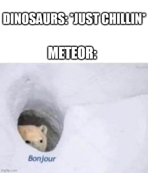 Bonjour | DINOSAURS: *JUST CHILLIN*; METEOR: | image tagged in bonjour | made w/ Imgflip meme maker