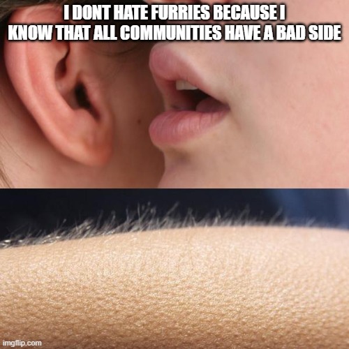 Whisper and Goosebumps | I DONT HATE FURRIES BECAUSE I KNOW THAT ALL COMMUNITIES HAVE A BAD SIDE | image tagged in whisper and goosebumps | made w/ Imgflip meme maker