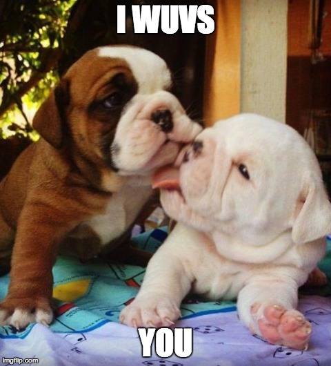 I WUVS YOU | image tagged in kissinpups | made w/ Imgflip meme maker