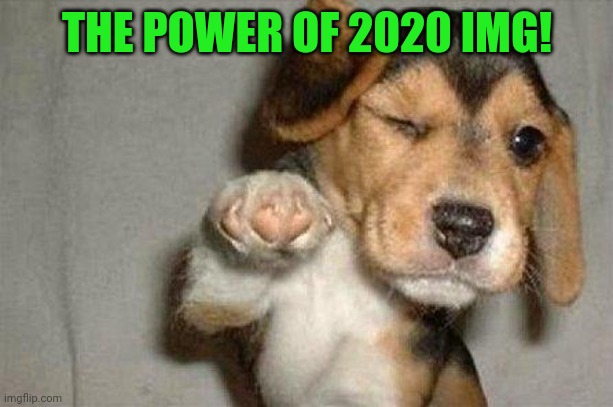 Awesome Dog | THE POWER OF 2020 IMG! | image tagged in awesome dog | made w/ Imgflip meme maker