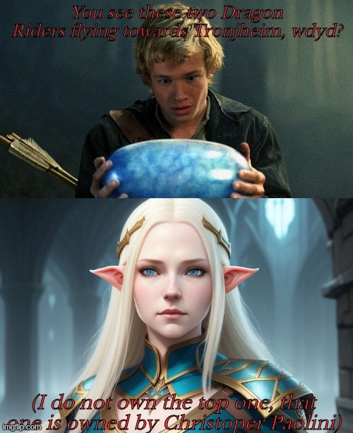 You see these two Dragon Riders flying towards Tronjheim, wdyd? (I do not own the top one, that one is owned by Christoper Paolini) | image tagged in eragon | made w/ Imgflip meme maker