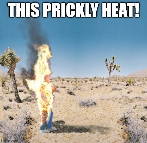 Dry Heat | THIS PRICKLY HEAT! | image tagged in dry heat | made w/ Imgflip meme maker