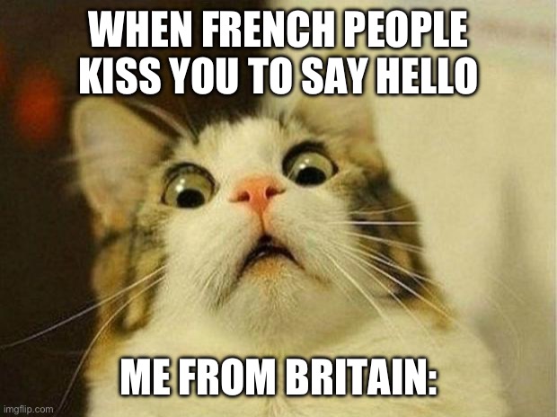 Scared Cat | WHEN FRENCH PEOPLE KISS YOU TO SAY HELLO; ME FROM BRITAIN: | image tagged in memes,scared cat | made w/ Imgflip meme maker