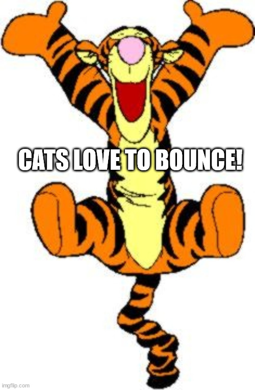 Tigger Bouncing | CATS LOVE TO BOUNCE! | image tagged in tigger bouncing | made w/ Imgflip meme maker