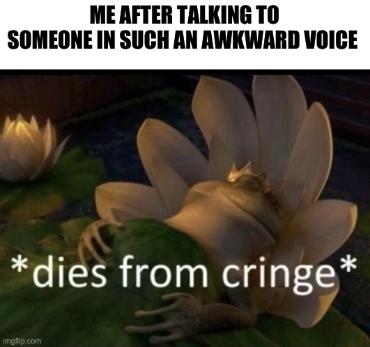Happens every time | ME AFTER TALKING TO SOMEONE IN SUCH AN AWKWARD VOICE | image tagged in dies from cringe | made w/ Imgflip meme maker