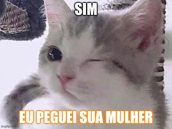 Sim | SIM; EU PEGUEI SUA MULHER | image tagged in brasil,portugues,gatosafado,memes,cats,gato | made w/ Imgflip meme maker