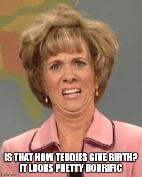 Disgusted Kristin Wiig | IS THAT HOW TEDDIES GIVE BIRTH?
IT LOOKS PRETTY HORRIFIC | image tagged in disgusted kristin wiig | made w/ Imgflip meme maker