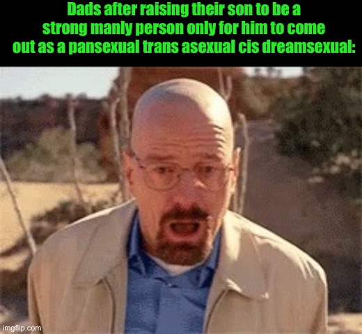 Walter White | Dads after raising their son to be a strong manly person only for him to come out as a pansexual trans asexual cis dreamsexual: | image tagged in walter white | made w/ Imgflip meme maker