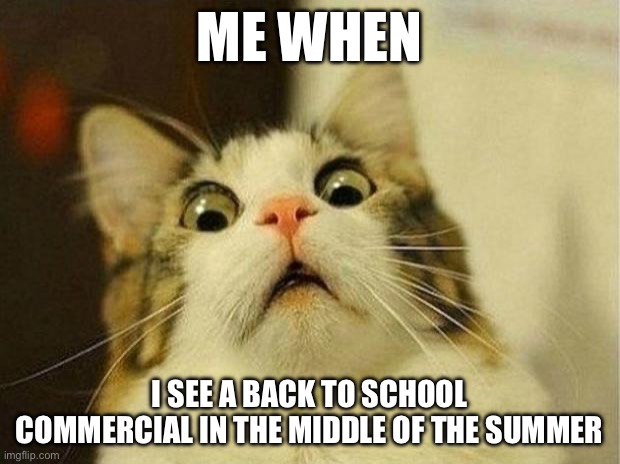 Scared Cat | ME WHEN; I SEE A BACK TO SCHOOL COMMERCIAL IN THE MIDDLE OF THE SUMMER | image tagged in memes,scared cat | made w/ Imgflip meme maker