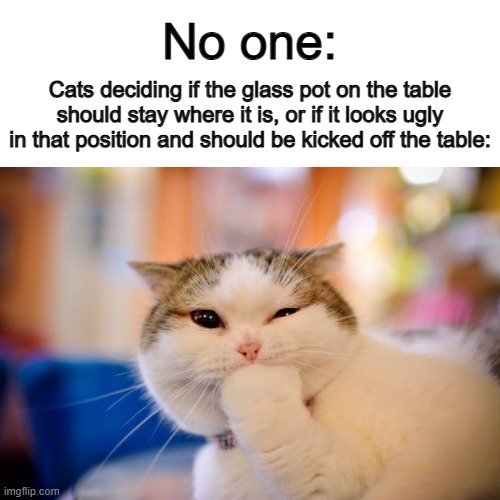 All the time :D | No one:; Cats deciding if the glass pot on the table should stay where it is, or if it looks ugly in that position and should be kicked off the table: | image tagged in thinking cat | made w/ Imgflip meme maker
