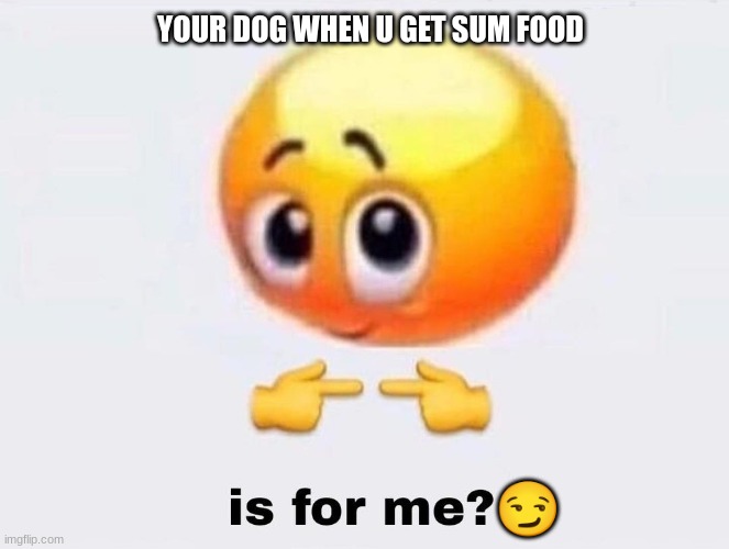 Da dawg | YOUR DOG WHEN U GET SUM FOOD; 😏 | image tagged in is it for me | made w/ Imgflip meme maker