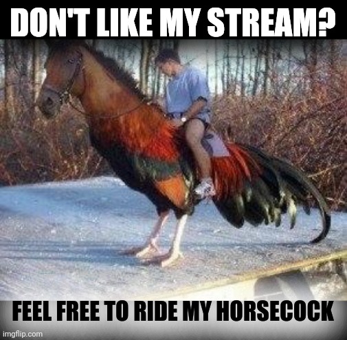 Horsecock | DON'T LIKE MY STREAM? FEEL FREE TO RIDE MY HORSECOCK | image tagged in horsecock | made w/ Imgflip meme maker