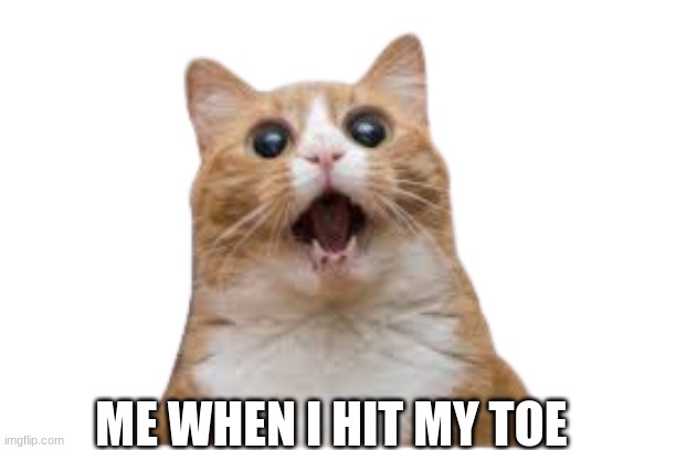 Ouch | ME WHEN I HIT MY TOE | image tagged in pog | made w/ Imgflip meme maker