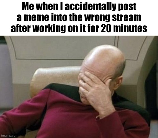 It's kind of annoying ngl | Me when I accidentally post a meme into the wrong stream after working on it for 20 minutes | image tagged in memes,captain picard facepalm,funny,stream,streams,barney will eat all of your delectable biscuits | made w/ Imgflip meme maker