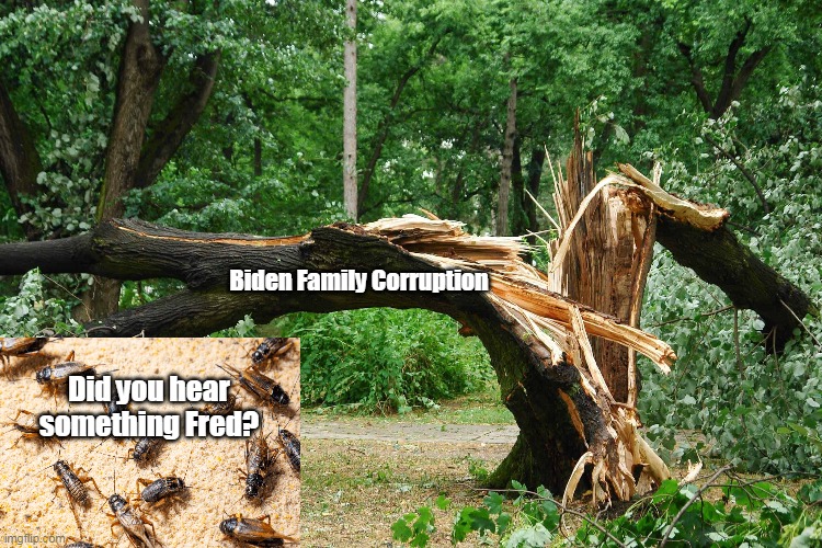 Biden Family Corruption Did you hear something Fred? | made w/ Imgflip meme maker
