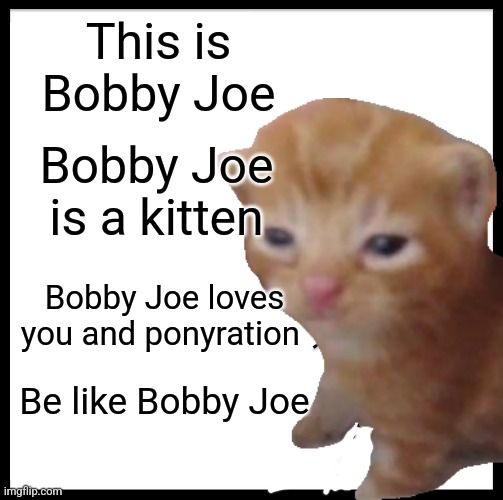 Be like Bobby Joe | This is Bobby Joe; Bobby Joe is a kitten; Bobby Joe loves you and ponyration; Be like Bobby Joe | image tagged in memes,be like bill | made w/ Imgflip meme maker