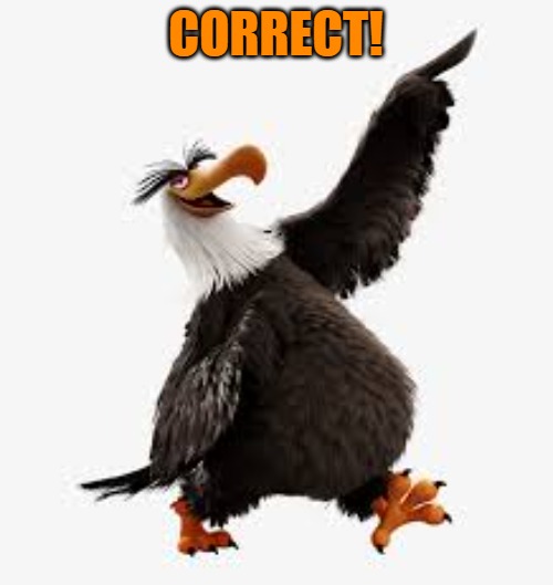 angry birds eagle | CORRECT! | image tagged in angry birds eagle | made w/ Imgflip meme maker