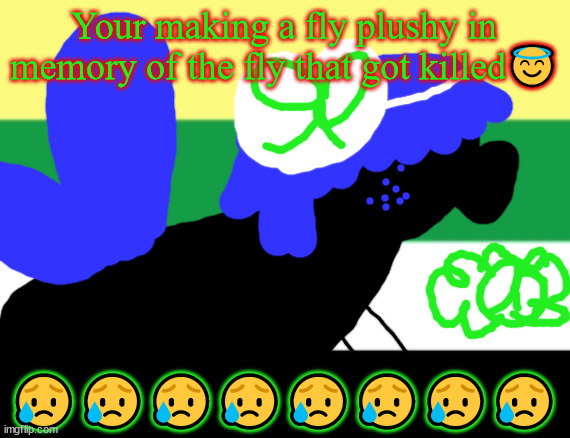Ook ska si means run in Blackfoot | Your making a fly plushy in memory of the fly that got killed😇; 😥😥😥😥😥😥😥😥 | image tagged in the fly didn't deserve to die | made w/ Imgflip meme maker