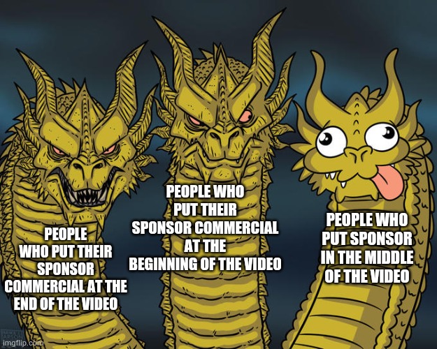 YouTube | PEOPLE WHO PUT THEIR SPONSOR COMMERCIAL AT THE BEGINNING OF THE VIDEO; PEOPLE WHO PUT SPONSOR IN THE MIDDLE OF THE VIDEO; PEOPLE WHO PUT THEIR SPONSOR COMMERCIAL AT THE END OF THE VIDEO | image tagged in three-headed dragon | made w/ Imgflip meme maker