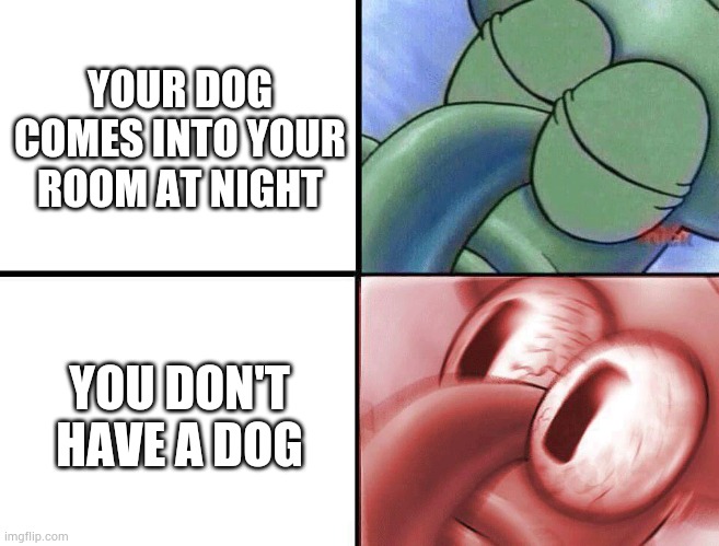 sleeping Squidward | YOUR DOG COMES INTO YOUR ROOM AT NIGHT; YOU DON'T HAVE A DOG | image tagged in sleeping squidward | made w/ Imgflip meme maker
