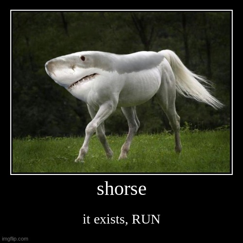 shorse | it exists, RUN | image tagged in funny,demotivationals | made w/ Imgflip demotivational maker