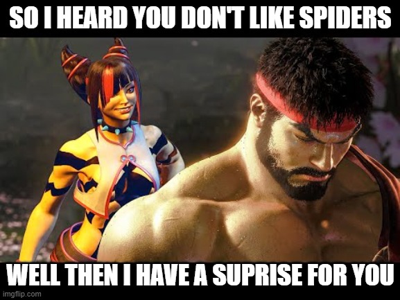 Juri tormenting Ryu | SO I HEARD YOU DON'T LIKE SPIDERS; WELL THEN I HAVE A SUPRISE FOR YOU | image tagged in juri tormenting ryu | made w/ Imgflip meme maker