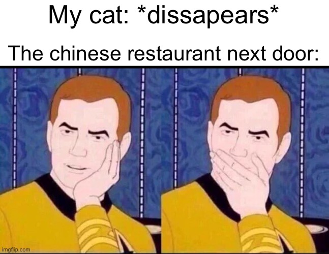 Sorry to tell you sir but your dog is gonna be a great meal | My cat: *dissapears*; The chinese restaurant next door: | image tagged in fake surprised,memes,funny,chinese,chinese food | made w/ Imgflip meme maker
