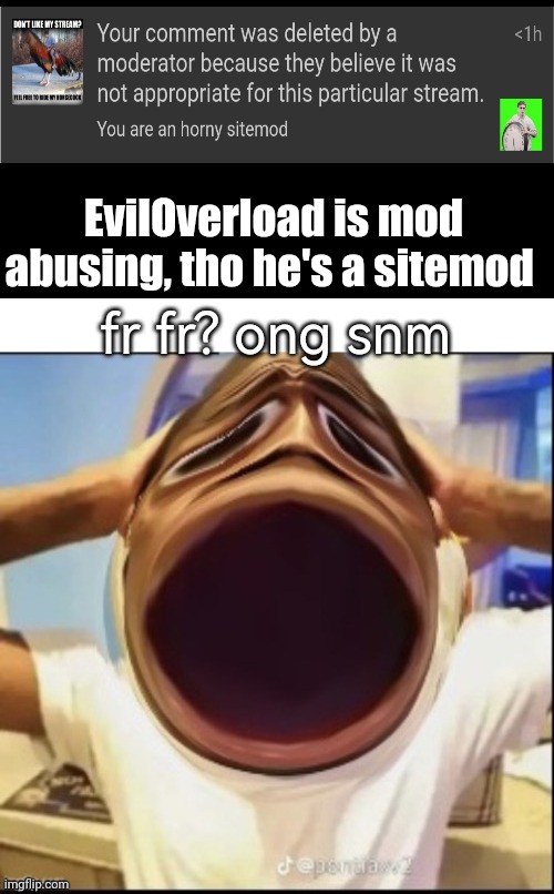 frfr ong snm | EvilOverload is mod abusing, tho he's a sitemod | image tagged in frfr ong snm | made w/ Imgflip meme maker
