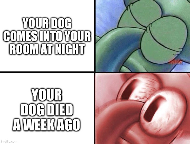 sleeping Squidward | YOUR DOG COMES INTO YOUR ROOM AT NIGHT; YOUR DOG DIED A WEEK AGO | image tagged in sleeping squidward | made w/ Imgflip meme maker