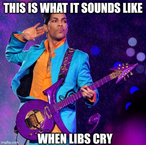 Why do they screech like each other? | THIS IS WHAT IT SOUNDS LIKE; WHEN LIBS CRY | image tagged in his royal purpleness prince singer,liberals,leftists,screech,democrats,crying | made w/ Imgflip meme maker