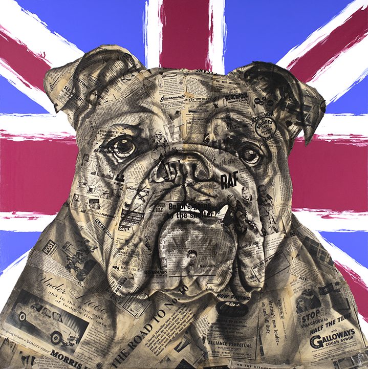 High Quality British Bulldog Blank Meme Template