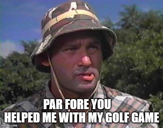 Golf Caddy | PAR FORE YOU     HELPED ME WITH MY GOLF GAME | image tagged in golf caddy | made w/ Imgflip meme maker