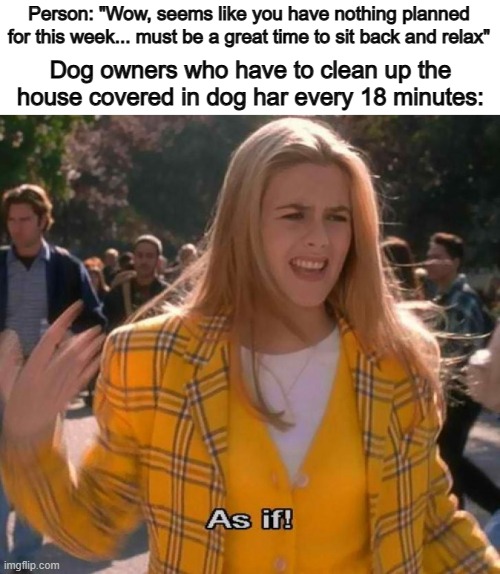 Cleaning up after pets suck :P | Person: "Wow, seems like you have nothing planned for this week... must be a great time to sit back and relax"; Dog owners who have to clean up the house covered in dog har every 18 minutes: | image tagged in ugh as if | made w/ Imgflip meme maker
