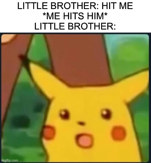 Surprised Pikachu | LITTLE BROTHER: HIT ME
*ME HITS HIM*
LITTLE BROTHER: | image tagged in surprised pikachu | made w/ Imgflip meme maker