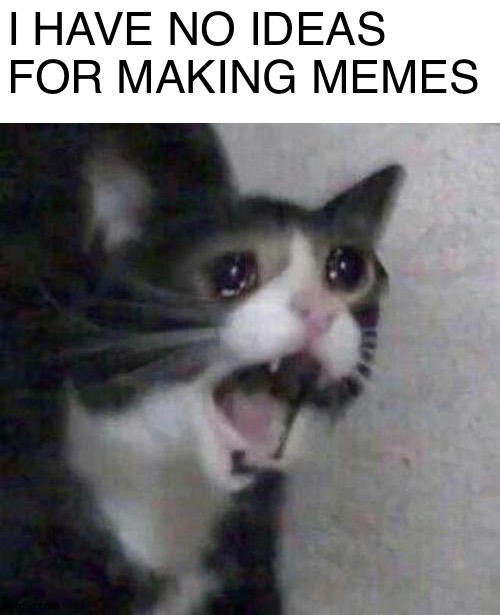 I have no ideas for making memes | I HAVE NO IDEAS FOR MAKING MEMES | image tagged in cat screaming | made w/ Imgflip meme maker