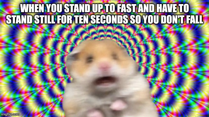 Hallucination | WHEN YOU STAND UP TO FAST AND HAVE TO STAND STILL FOR TEN SECONDS SO YOU DON'T FALL | image tagged in hallucination,repost | made w/ Imgflip meme maker