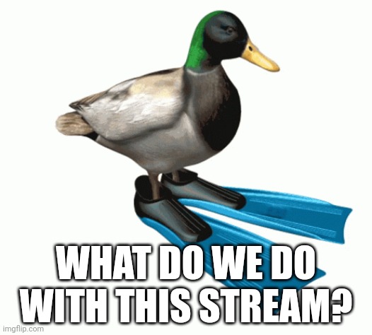 It's dead. I'm the most frequent poster, which is quite surprising. | WHAT DO WE DO WITH THIS STREAM? | image tagged in what do we do | made w/ Imgflip meme maker