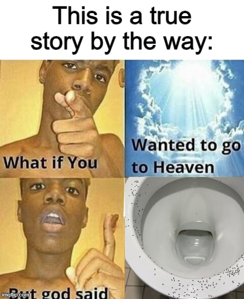 What if those ants crawl up your- | This is a true story by the way: | image tagged in what if you wanted to go to heaven | made w/ Imgflip meme maker