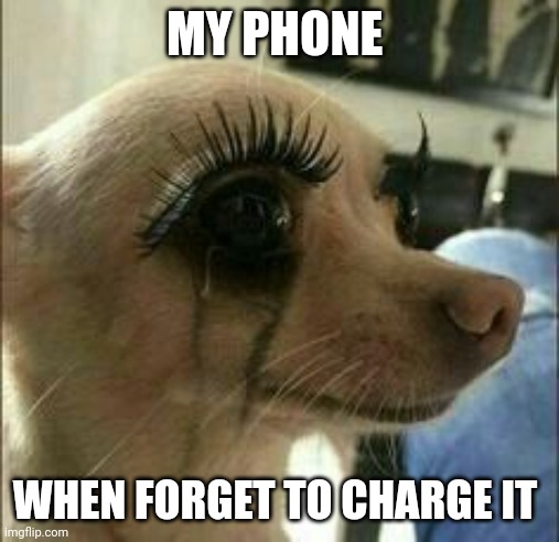 My phone's mascara is running | MY PHONE; WHEN FORGET TO CHARGE IT | image tagged in mascara chihuahua | made w/ Imgflip meme maker