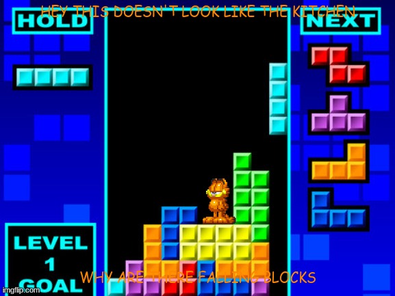 if garfield was in tetris | HEY THIS DOESN'T LOOK LIKE THE KITCHEN; WHY ARE THERE FALLING BLOCKS | image tagged in tetris,garfield,cats | made w/ Imgflip meme maker