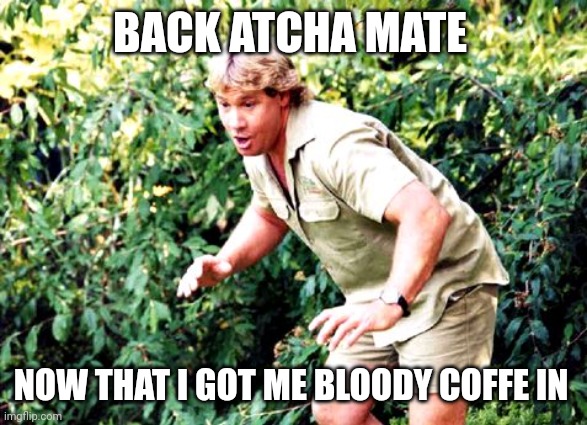 Crocodile Hunter Steve Irwin | BACK ATCHA MATE NOW THAT I GOT ME BLOODY COFFE IN | image tagged in crocodile hunter steve irwin | made w/ Imgflip meme maker