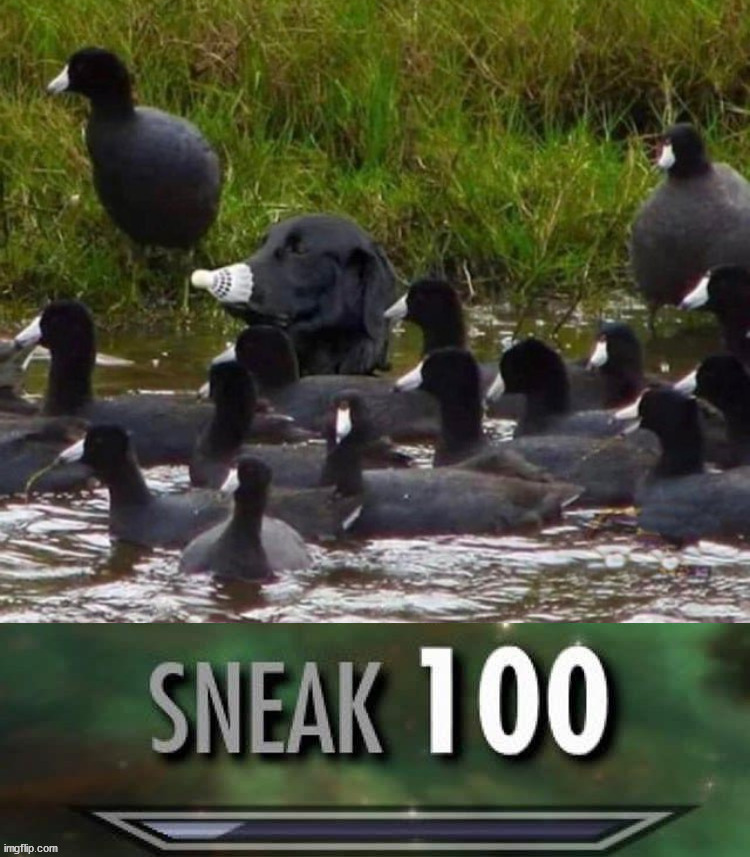 image tagged in repost | made w/ Imgflip meme maker