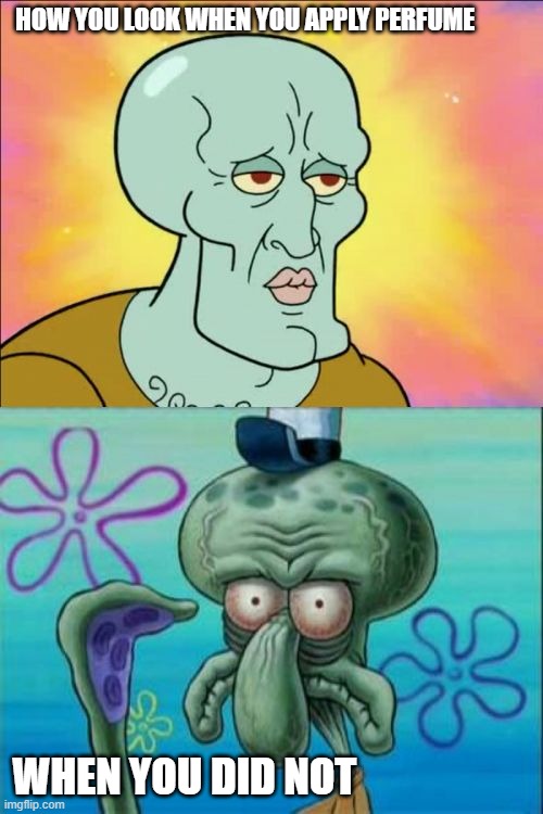 Squidward Meme | HOW YOU LOOK WHEN YOU APPLY PERFUME; WHEN YOU DID NOT | image tagged in memes,squidward | made w/ Imgflip meme maker