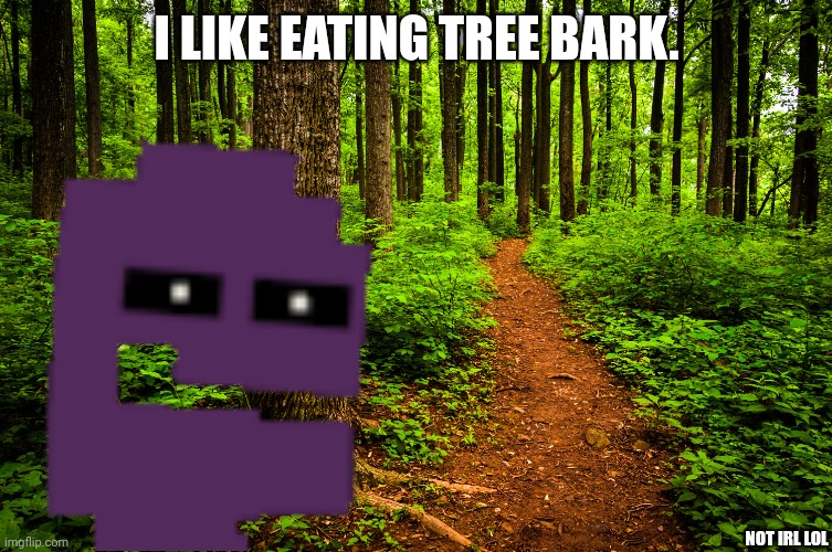 forest path | I LIKE EATING TREE BARK. NOT IRL LOL | image tagged in forest path | made w/ Imgflip meme maker