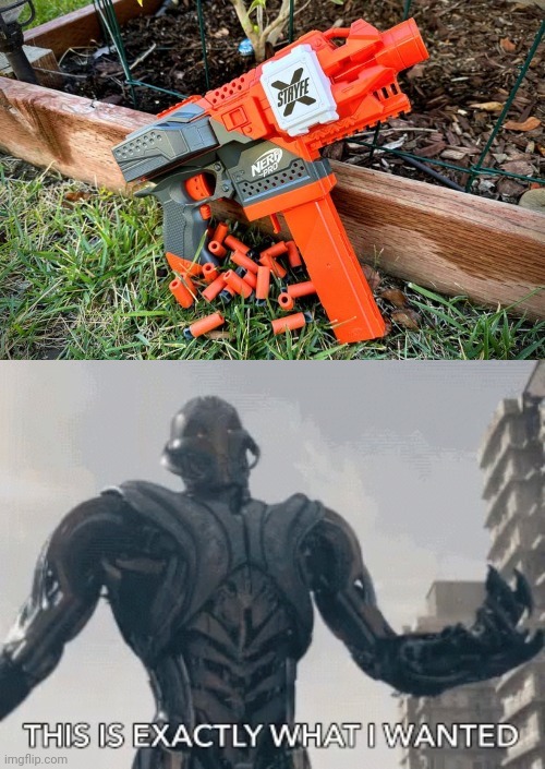 Nerf Pro Stryfe X | image tagged in this is exactly what i wanted,nerf pro stryfe x,nerf,gun,it's nerf or nothing,memes | made w/ Imgflip meme maker